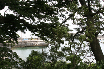 ���N�`���[���[��