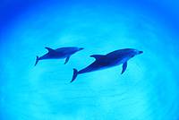 �N���b�N�ɂĈꗗ�\���v���܂��B