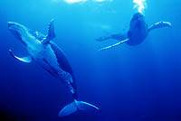 �N���b�N�ɂĈꗗ�\���v���܂��B