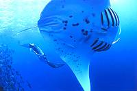 �N���b�N�ɂĈꗗ�\���v���܂��B