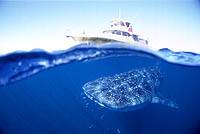 �N���b�N�ɂĈꗗ�\���v���܂��B