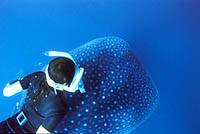 �N���b�N�ɂĈꗗ�\���v���܂��B