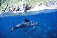 �N���b�N�ɂĈꗗ�\���v���܂��B