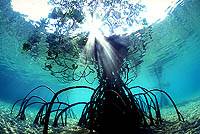 �N���b�N�ɂĈꗗ�\���v���܂��B