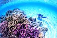 �N���b�N�ɂĈꗗ�\���v���܂��B