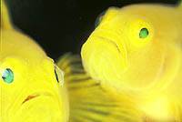 �N���b�N�ɂĈꗗ�\���v���܂��B