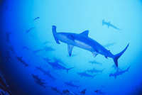 �N���b�N�ɂĈꗗ�\���v���܂��B