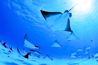 �N���b�N�ɂĈꗗ�\���v���܂��B