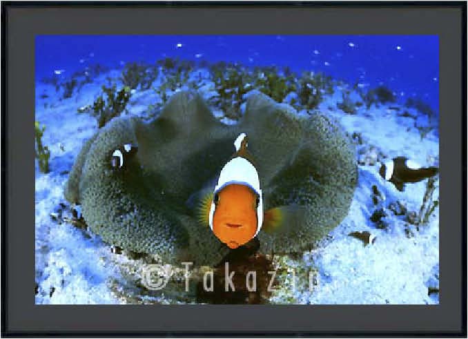 �u���b�N�̗�